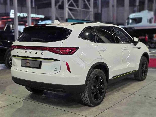 توقف تولید دیگنیتی