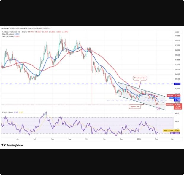 پیش‌بینی‌های قیمت کاردانو و ارزهای دیجیتال برتر بازار