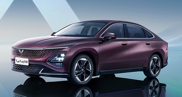 بائوجون و وولینگ در ایران