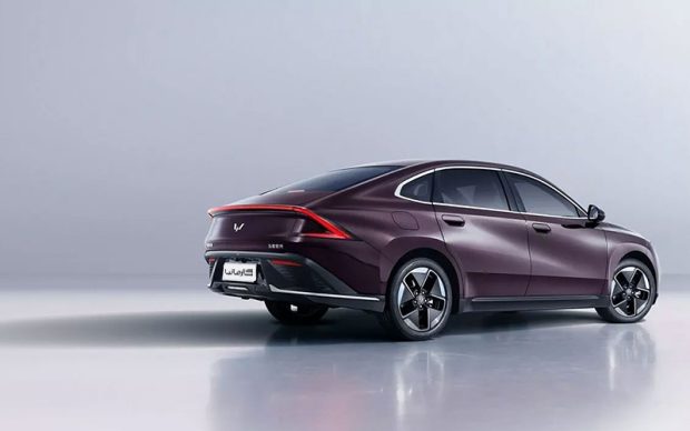 بائوجون و وولینگ در ایران