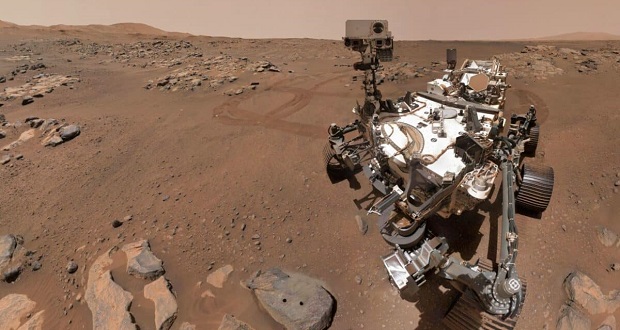 کشف احتمالی حشرات و خزندگان روی سیاره سرخ