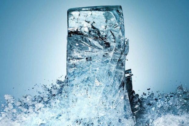 قارچ جادویی تبدیل آب به یخ