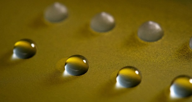 قارچ جادویی تبدیل آب به یخ