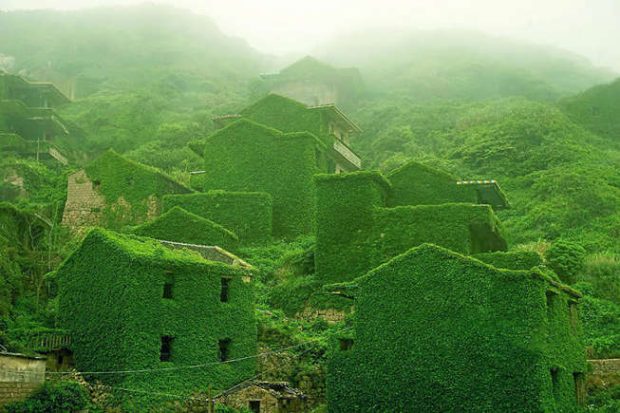 سفر به چین