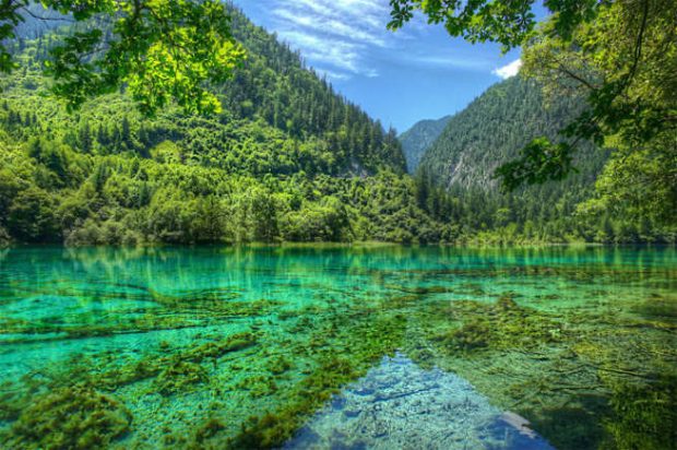 سفر به چین