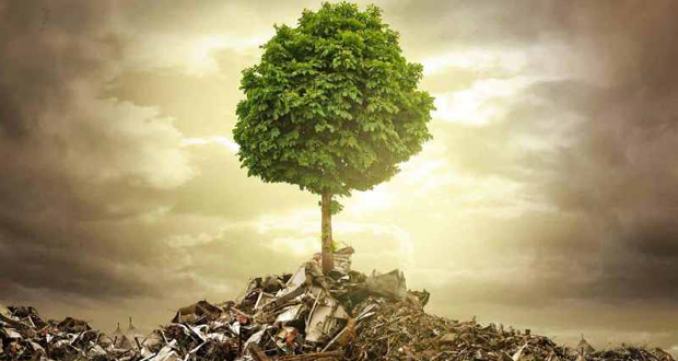 فاجعه زیست‌محیطی