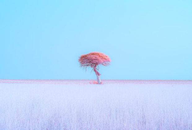 عکاسی مینیمال