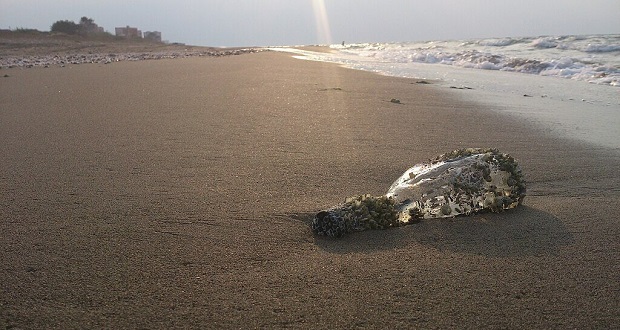 بحران کاهش 2.5 متری آب دریای خزر