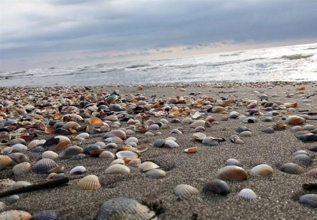 بحران کاهش 2.5 متری آب دریای خزر