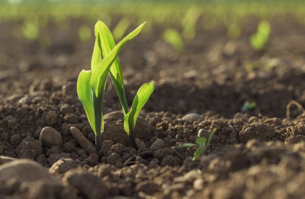 تولید انرژی از خاک