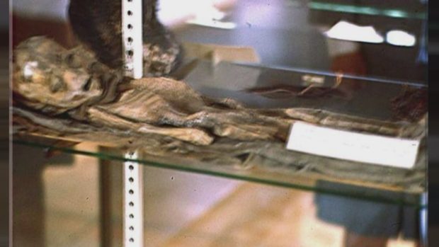 موجودات فضایی