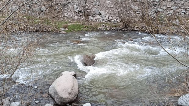 ترسالی در ایران