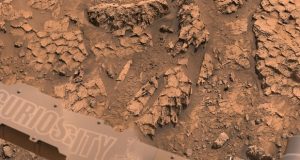 کشف ساختاری شبیه به فلس‌های یک خزنده در مریخ