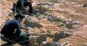 اولین جنگ جهانی ۱۳ هزار سال پیش