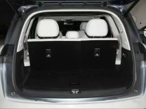 بی وای دی گریت تانگ