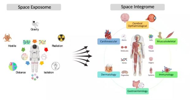 زندگی روی ماه
