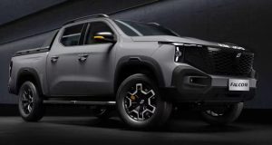 کینجو فالکون در ایران