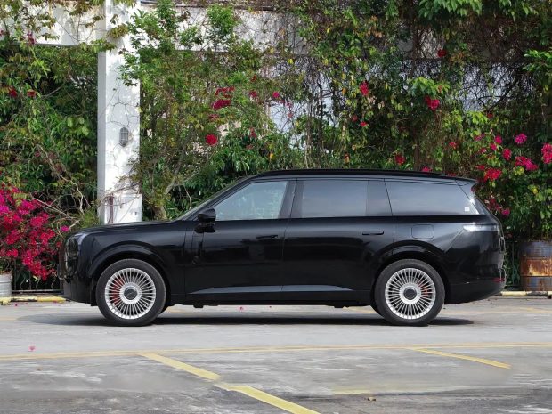 شاسی بلند لینک اند کو 900