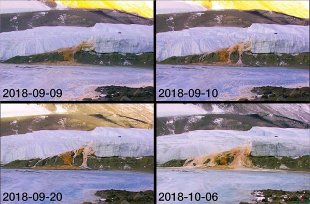 راز پدیده آبشار خون در قطب جنوب