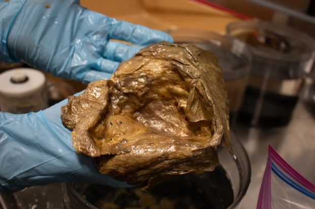 حل معمای گوی طلایی در اعماق اقیانوس آلاسکا