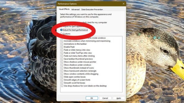 کند شدن ویندوز 11