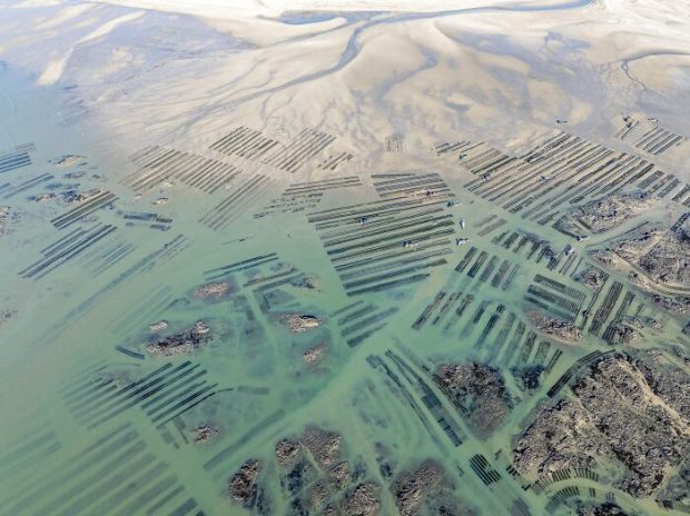 مسابقه جهانی عکاسی سونی ۲۰۲۶