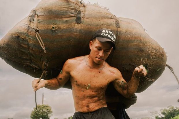 مسابقه جهانی عکاسی سونی ۲۰۲۶