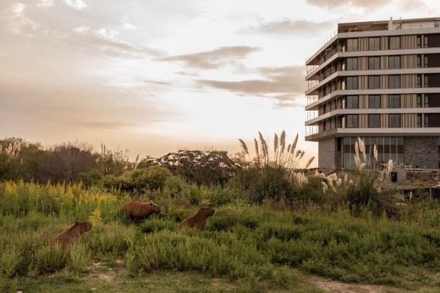 مسابقه جهانی عکاسی سونی ۲۰۲۶