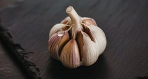 سیر علیه پشه‌ها