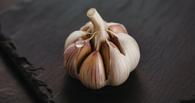 سیر علیه پشهها