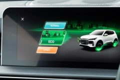 ام وی ام X5 - نمایشگر