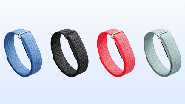 دستبند سلامتی Fitbit Air