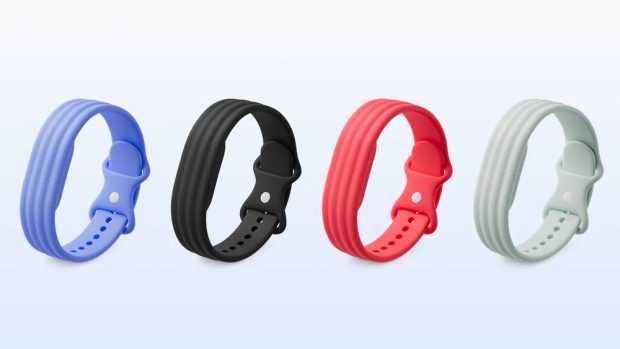 دستبند سلامتی Fitbit Air