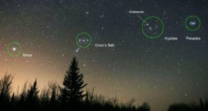 ستارگان Sirius و Orion