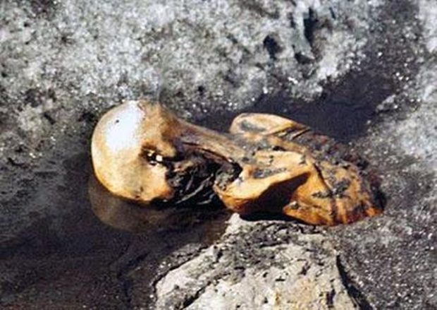 نشانه‌هایی از حیات در بدن مرد یخی 5300 ساله