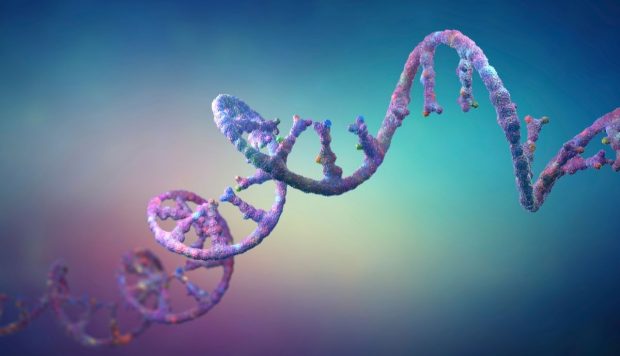 فرضیه دنیای RNA