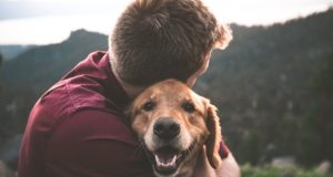 شباهت سگ‌ها و انسان‌ها