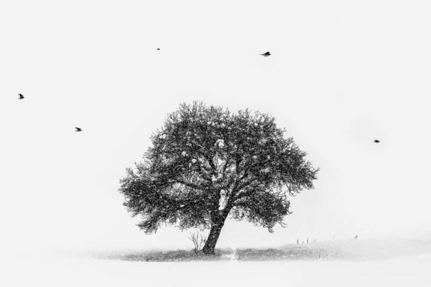 مسابقه عکاسی