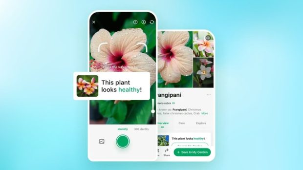۵ اپلیکیشن که با دوربین گوشی تقریبا هر چیزی را شناسایی می‌کنند