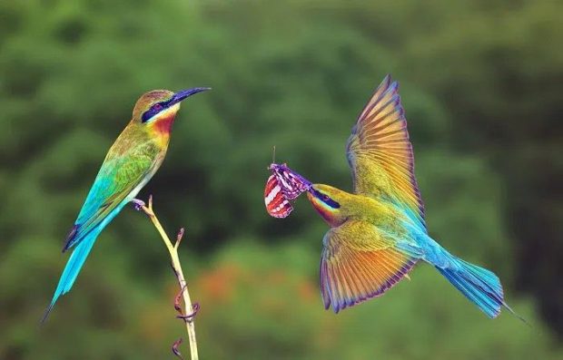 عکس‌های خیره‌کننده از طبیعت