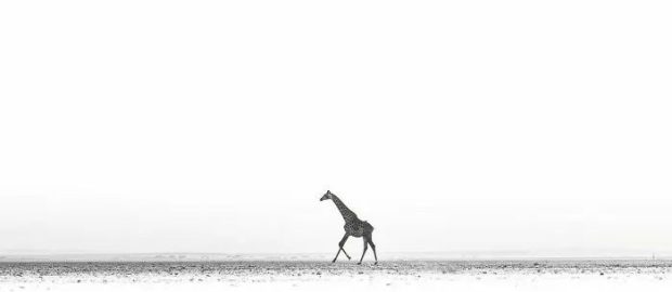 عکس مینیمال