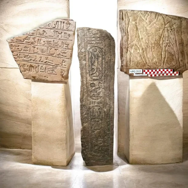 اسب ۳۰۰۰ ساله مصر