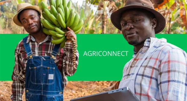 هوش مصنوعی AgriConnect
