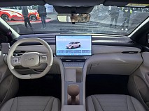 بی‌وای‌دی سیگال