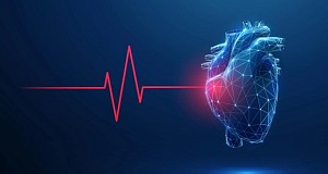تغییر ساختار عصبی قلب با ورزش