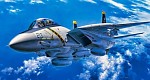 F-14 تامکت