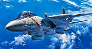 F-14 تامکت