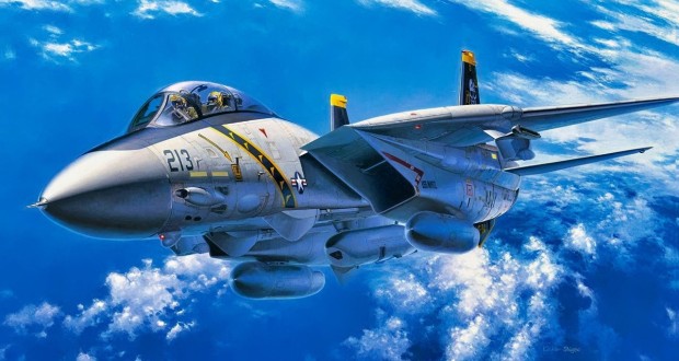 F-14 تامکت