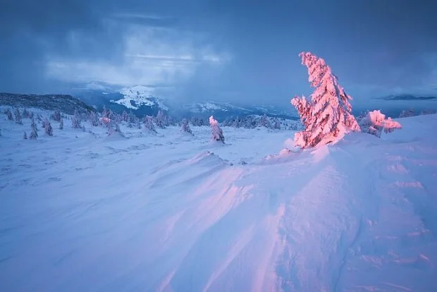 مسابقه عکاسی مناظر طبیعی ۲۰۲۶