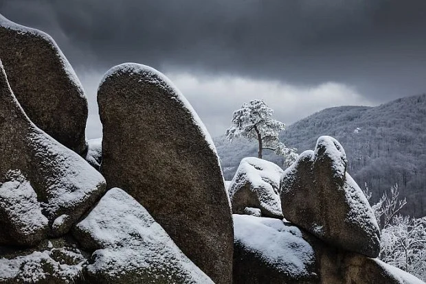 مسابقه عکاسی مناظر طبیعی ۲۰۲۶